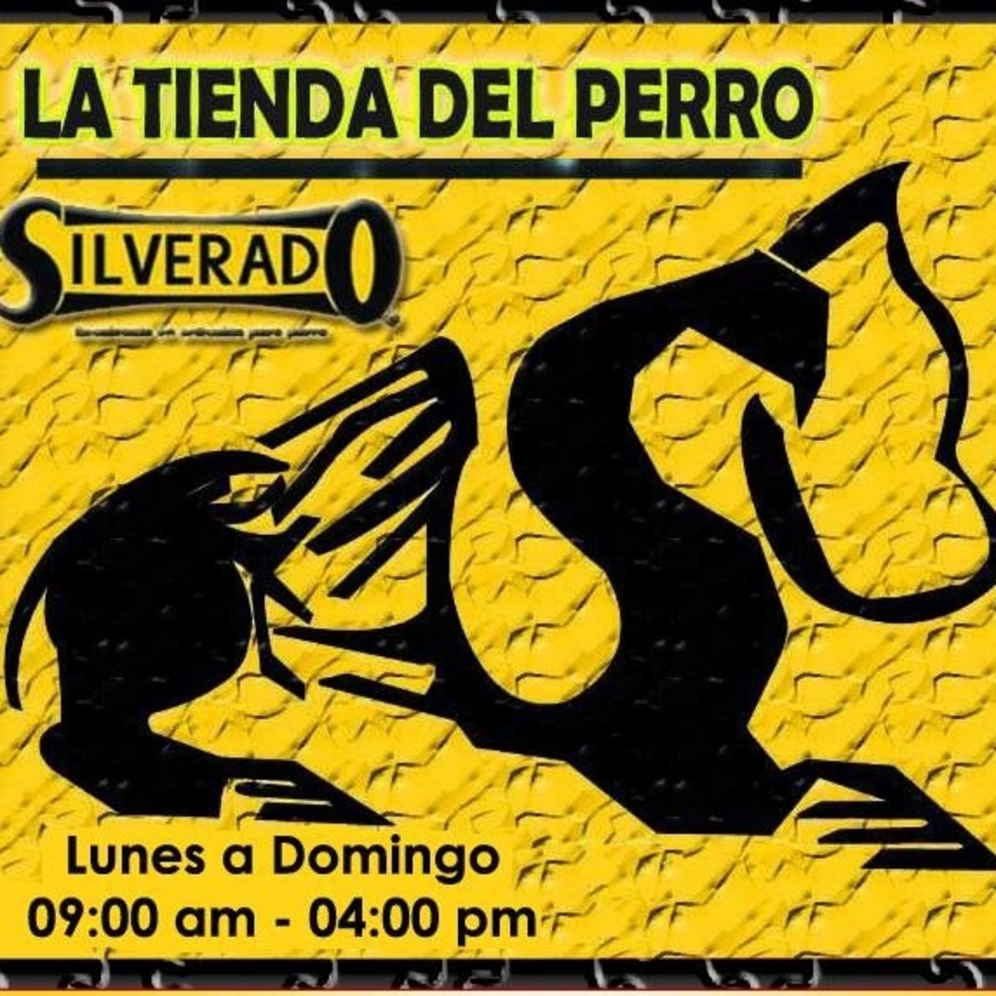 Recomendaciones / BikeRadio