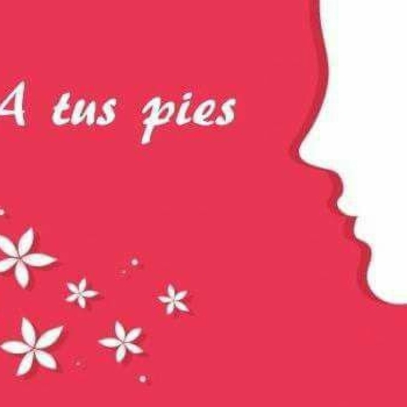 A TUS PIES-PROGRAMA N°8 episode artwork