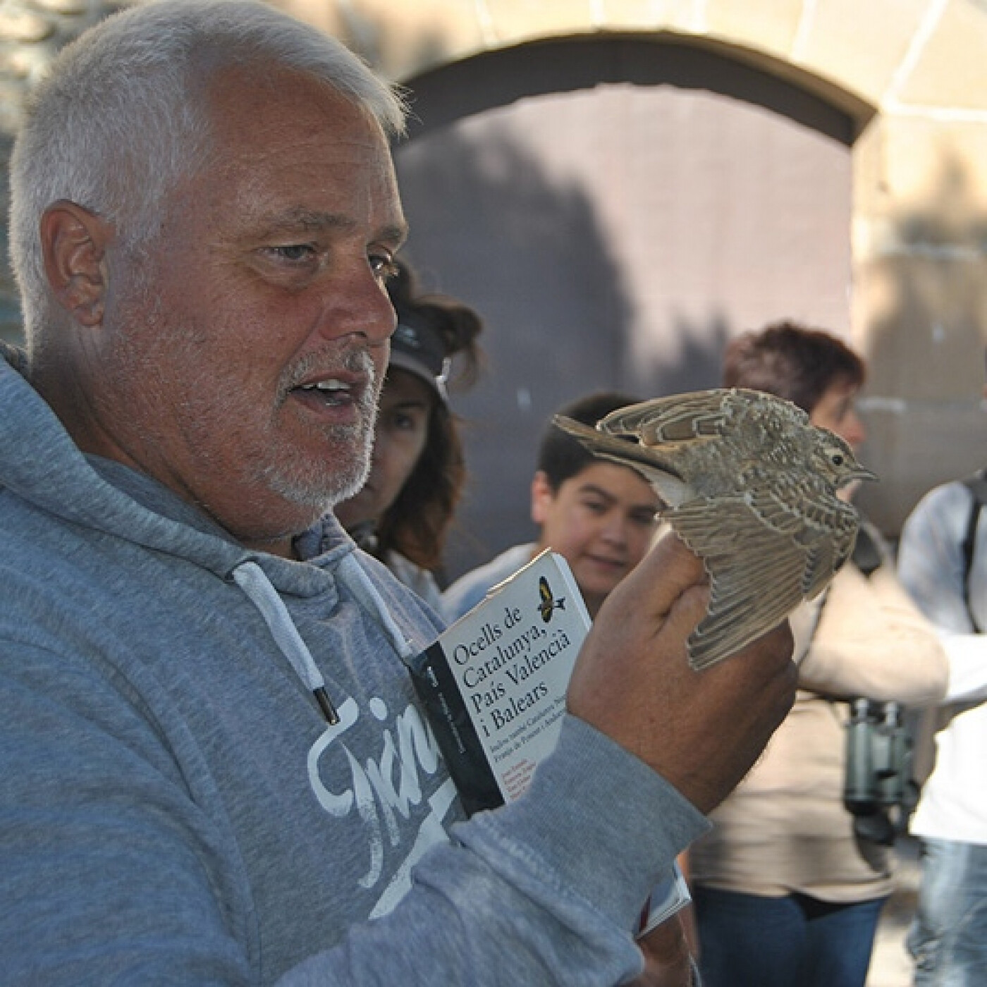 Parlem de moixons