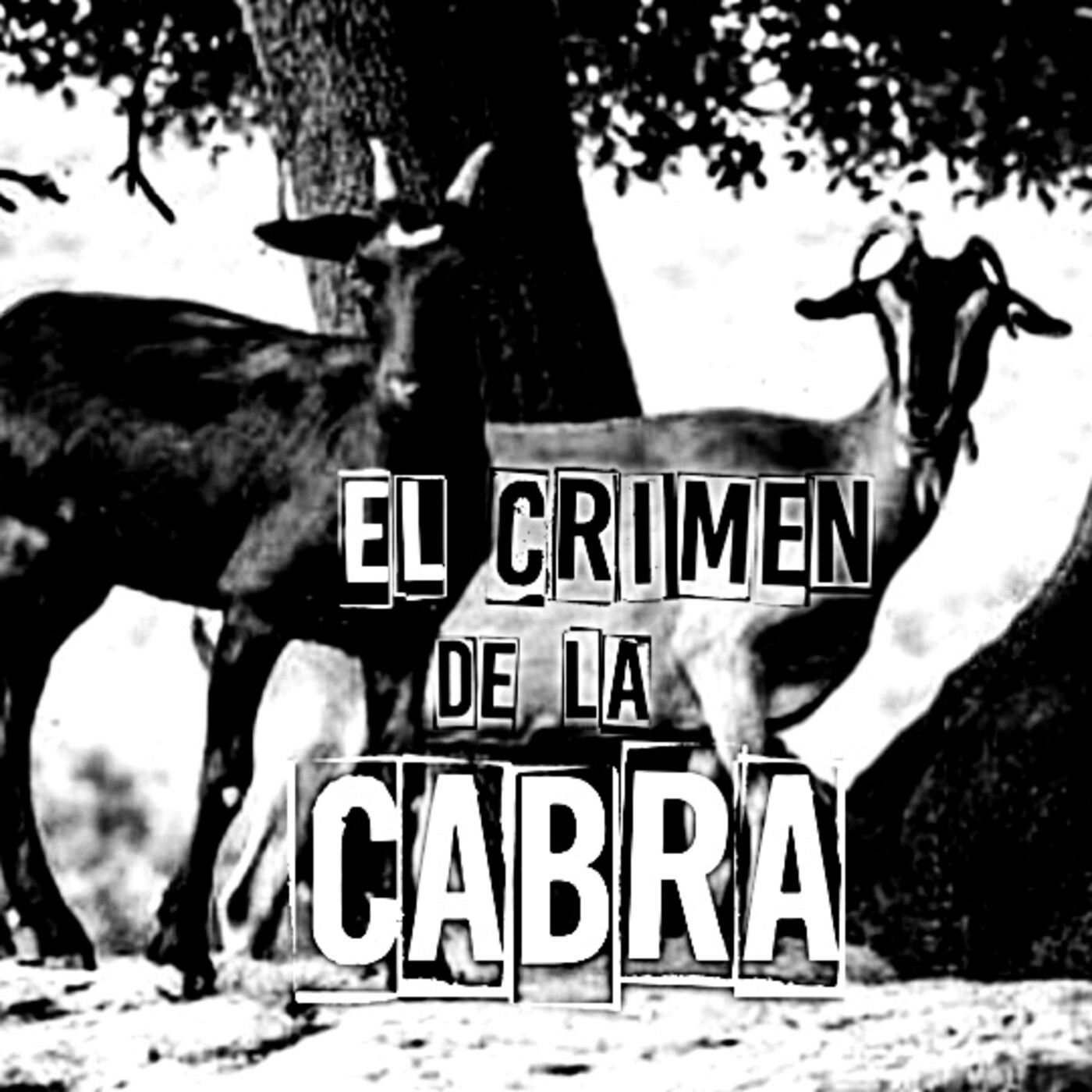 Diego C. Pedrera