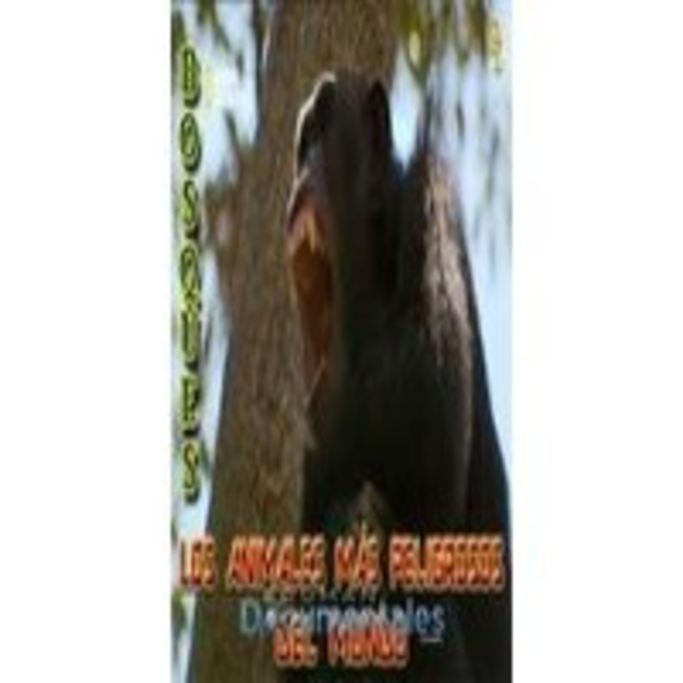 Audio-documentales