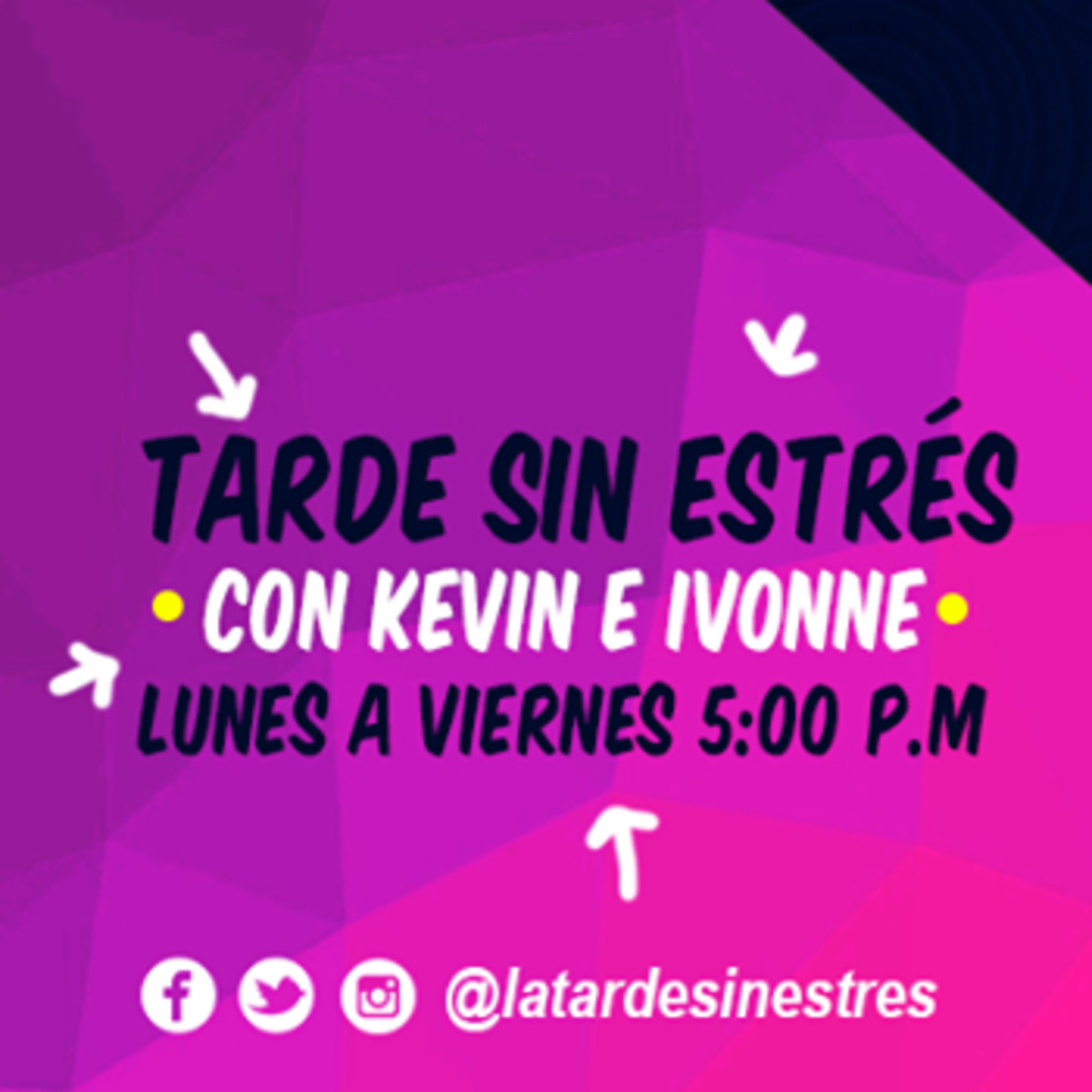 La Tarde Sin Estrés Resumen