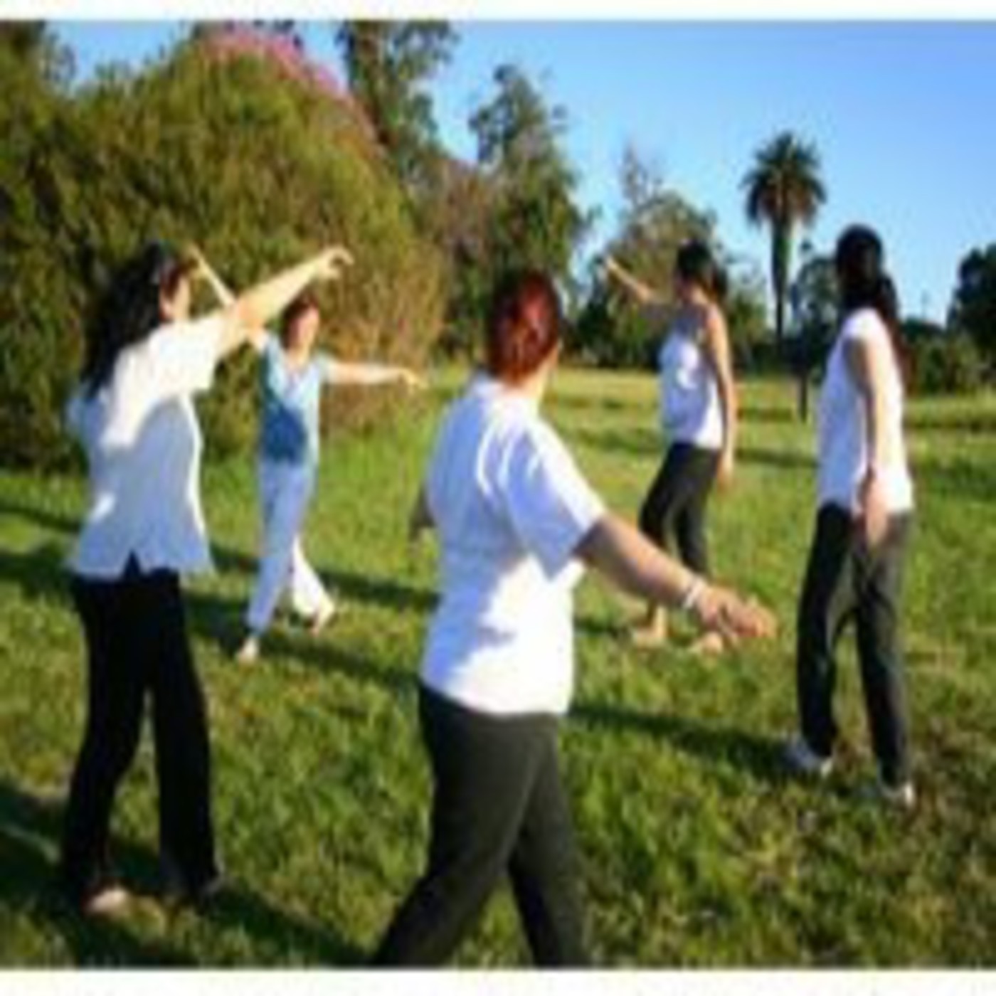 Recorriendo Caminos - Danzas Circulares - 2011-04-12 episode artwork