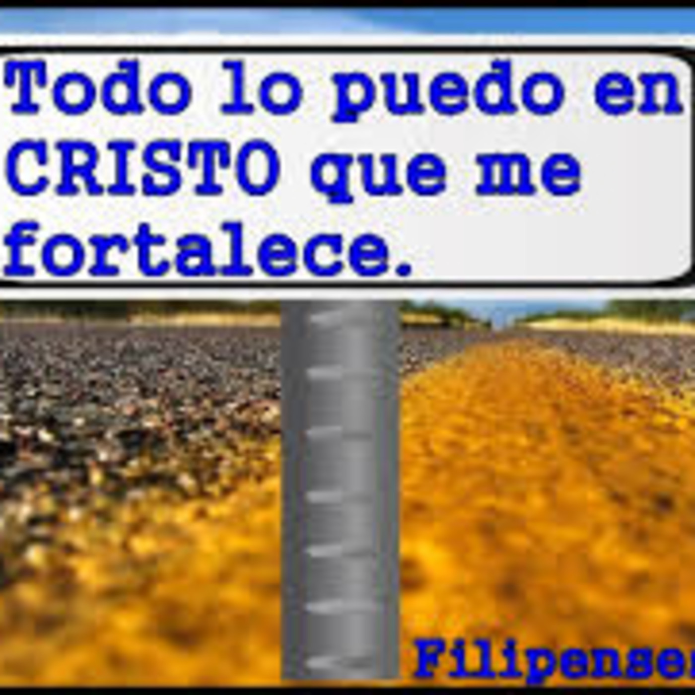 ofir urrea