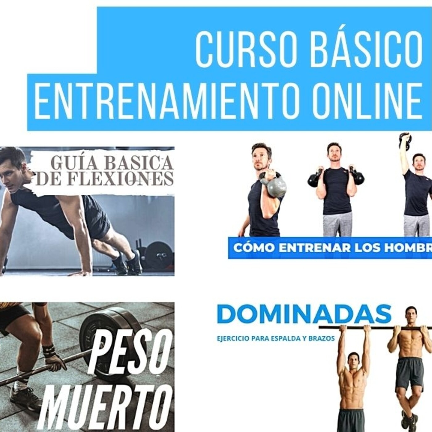 ENTRENAMIENTO GRATUITO ONLINE (curso)