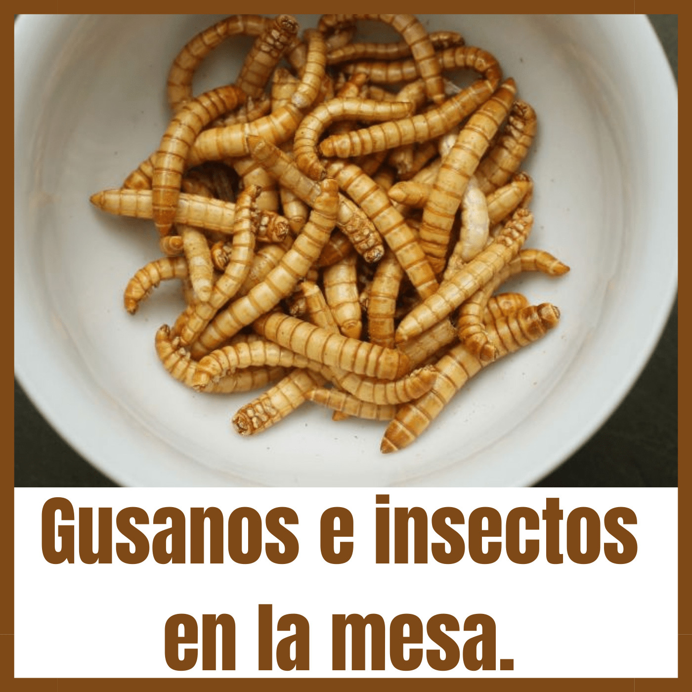 Por Amor a la Gastronomía