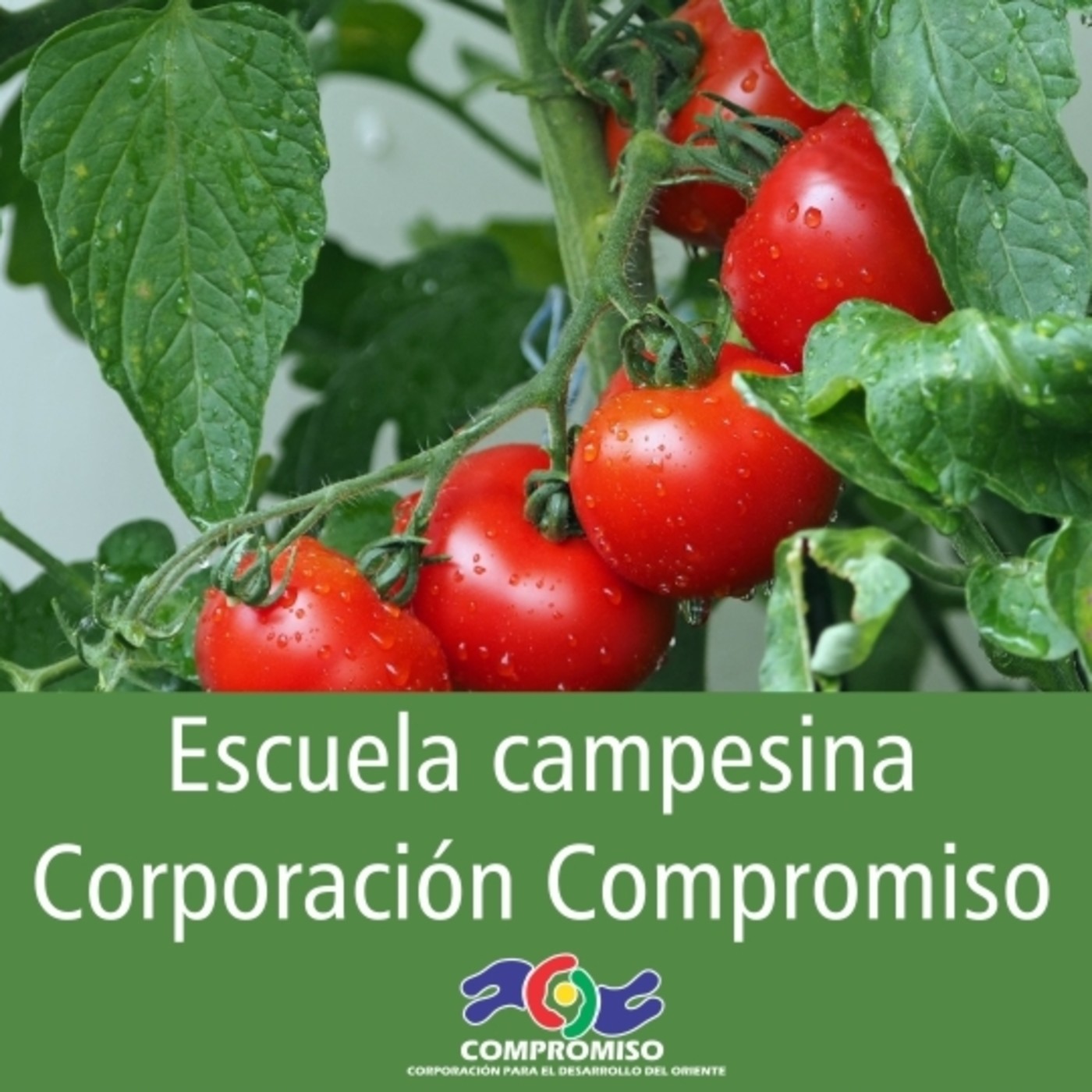 Podcast Emisora comunitaria La Brújula