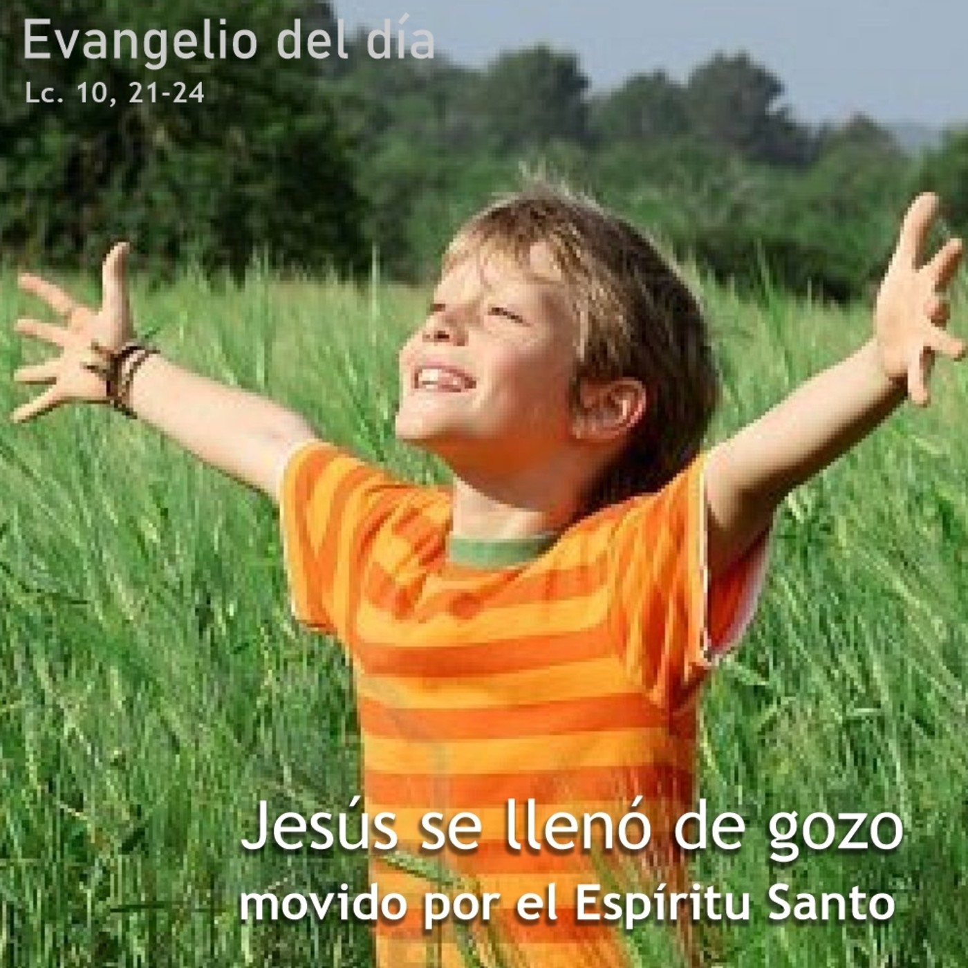 1 de diciembre de 2020