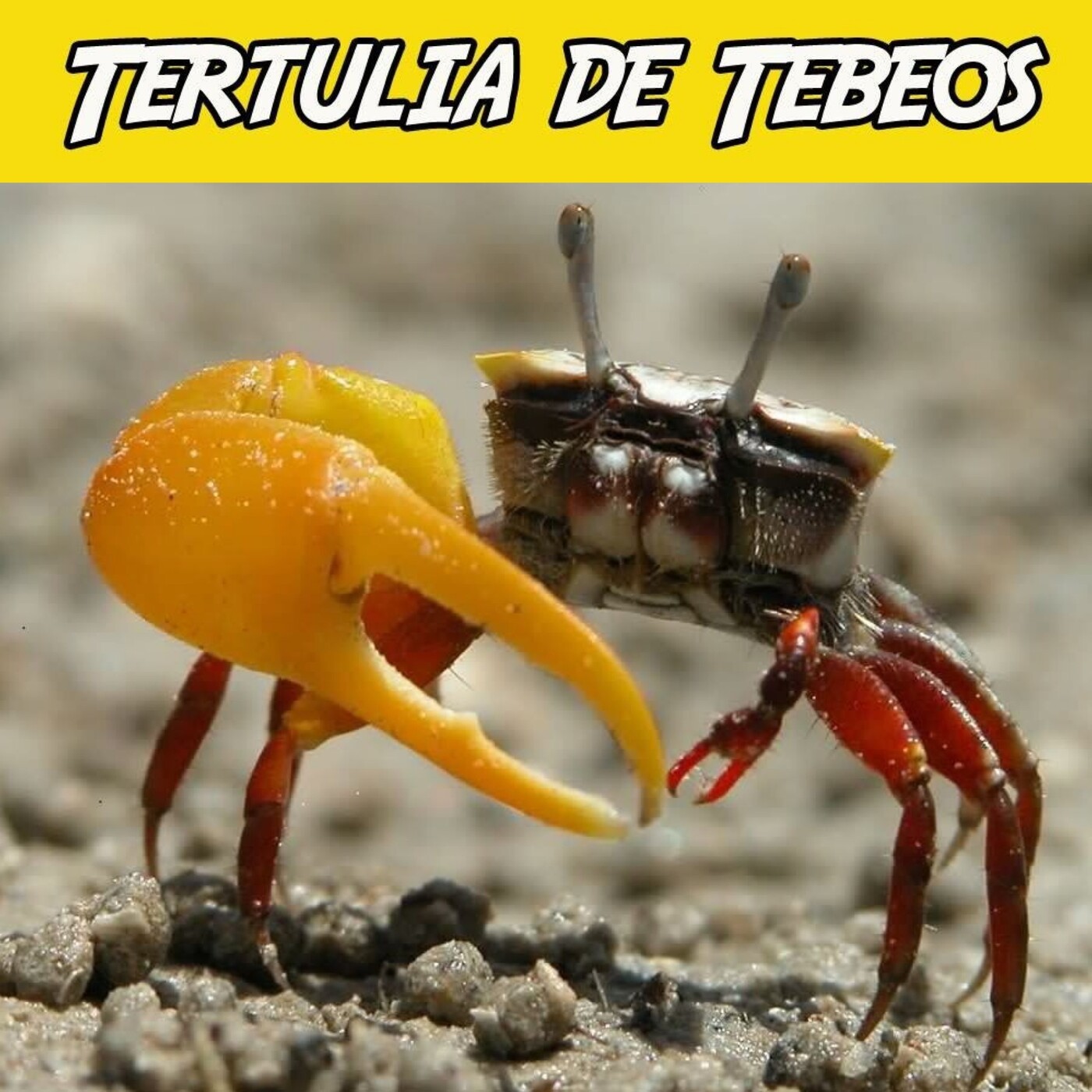 TDT Podcast