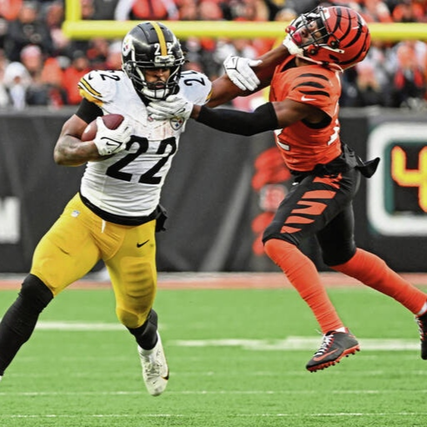 La Jungla Hispana - Bengals.es