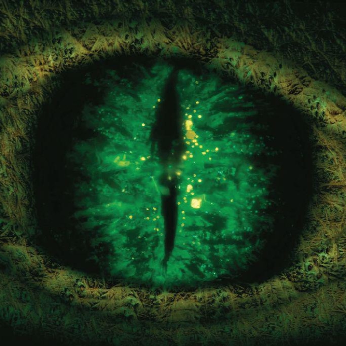 TEMAS DE ANTROPOLOXÍA (ENTREVISTAS)