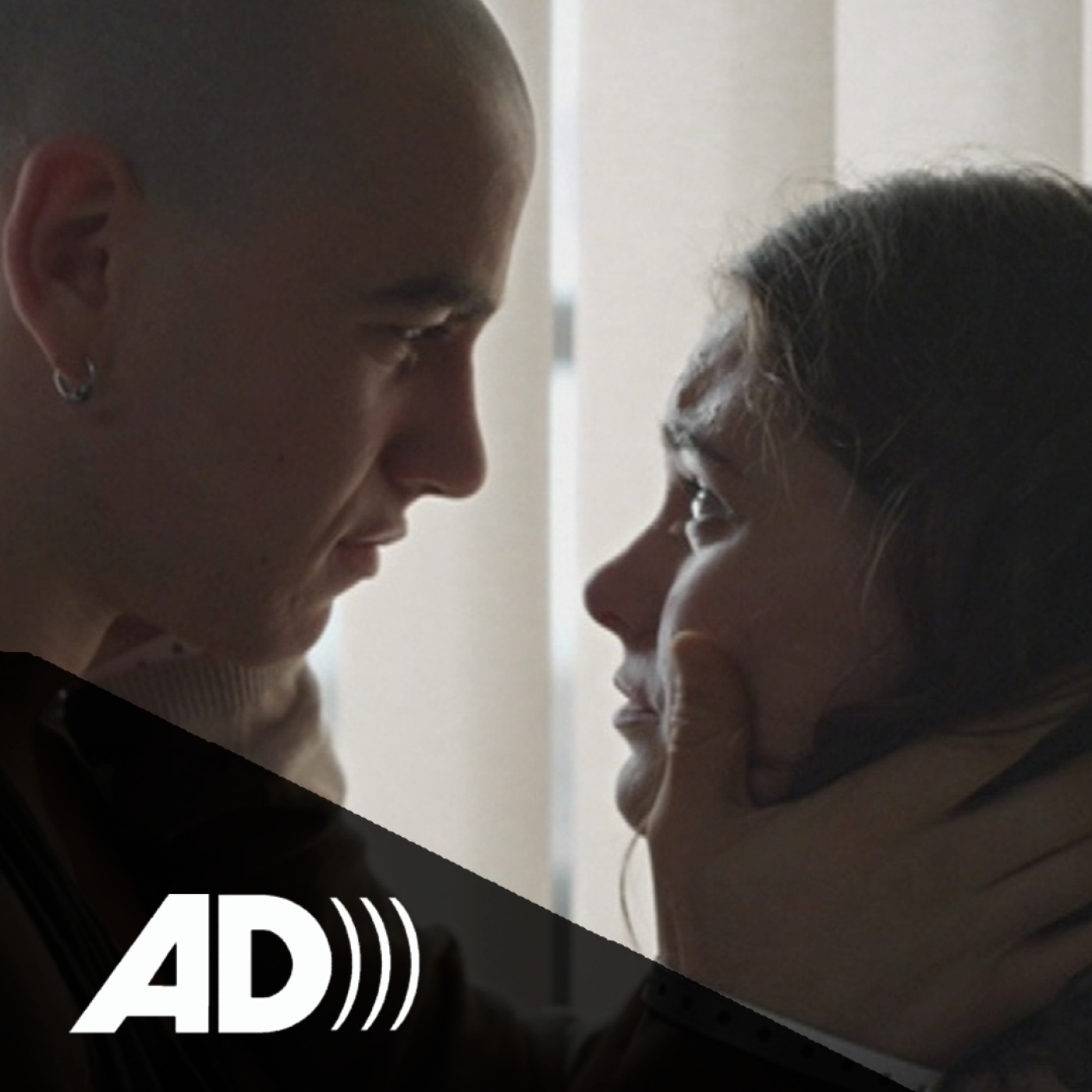 Audiodescripció en Català