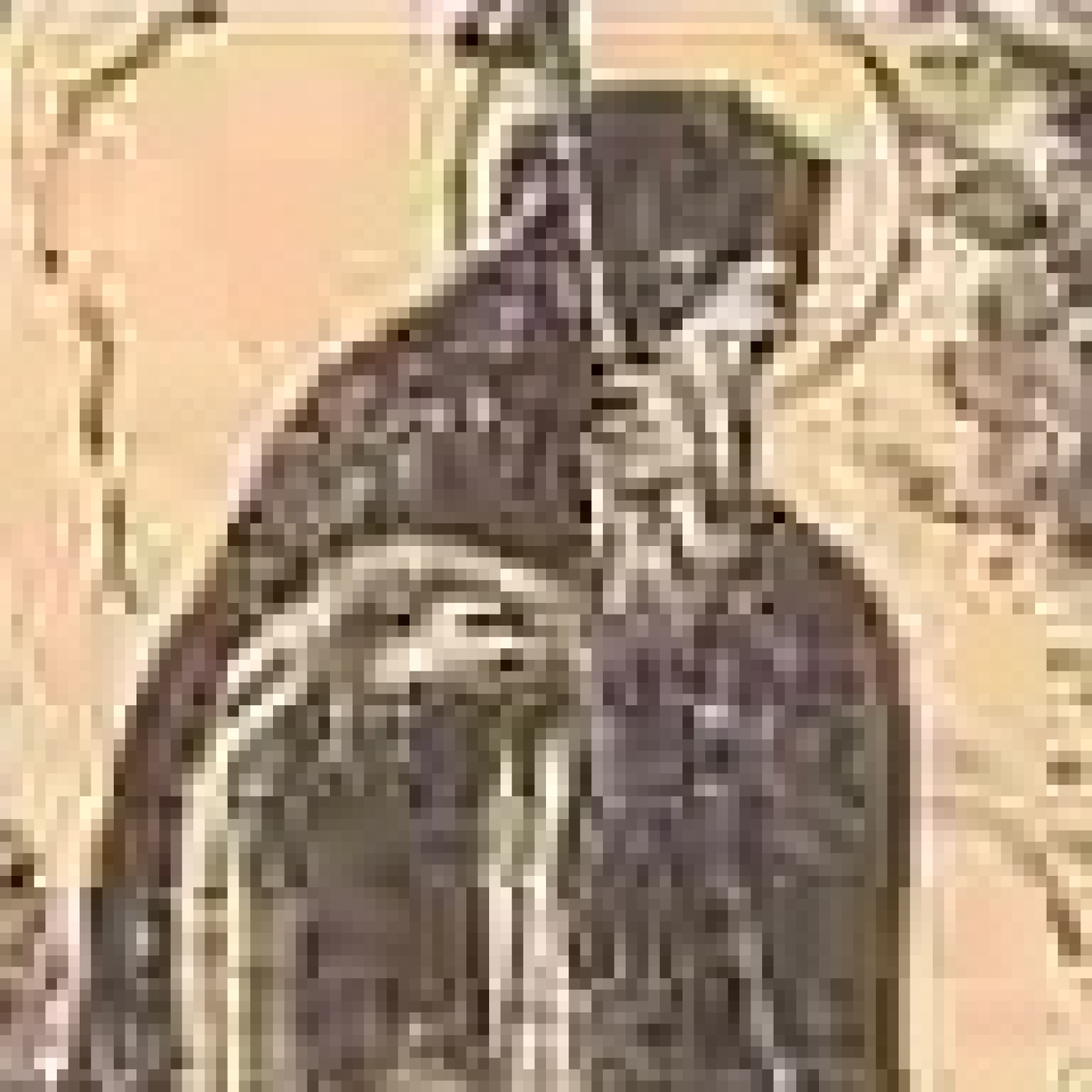 Pedro de Moreruela. Profecía, Poder y Císter en la España del Siglo XII episode artwork