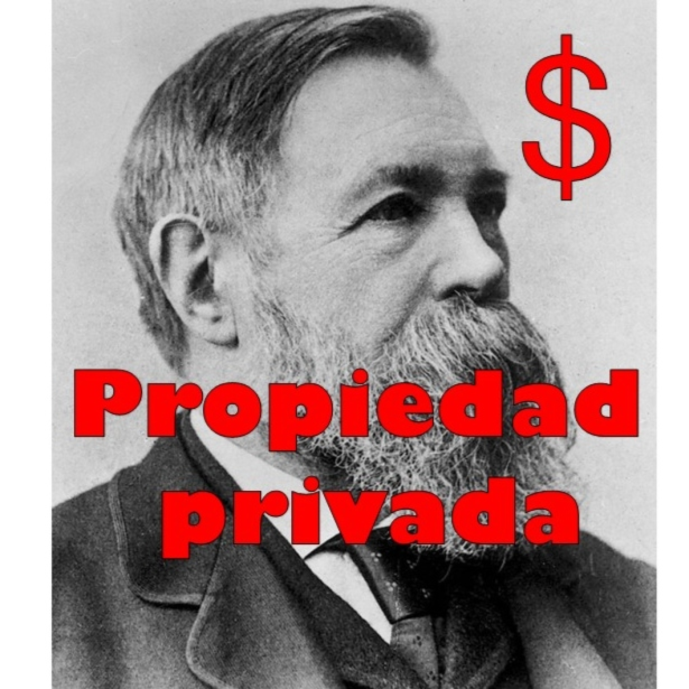 La propiedad privada nos esclavizó. Engels. episode artwork