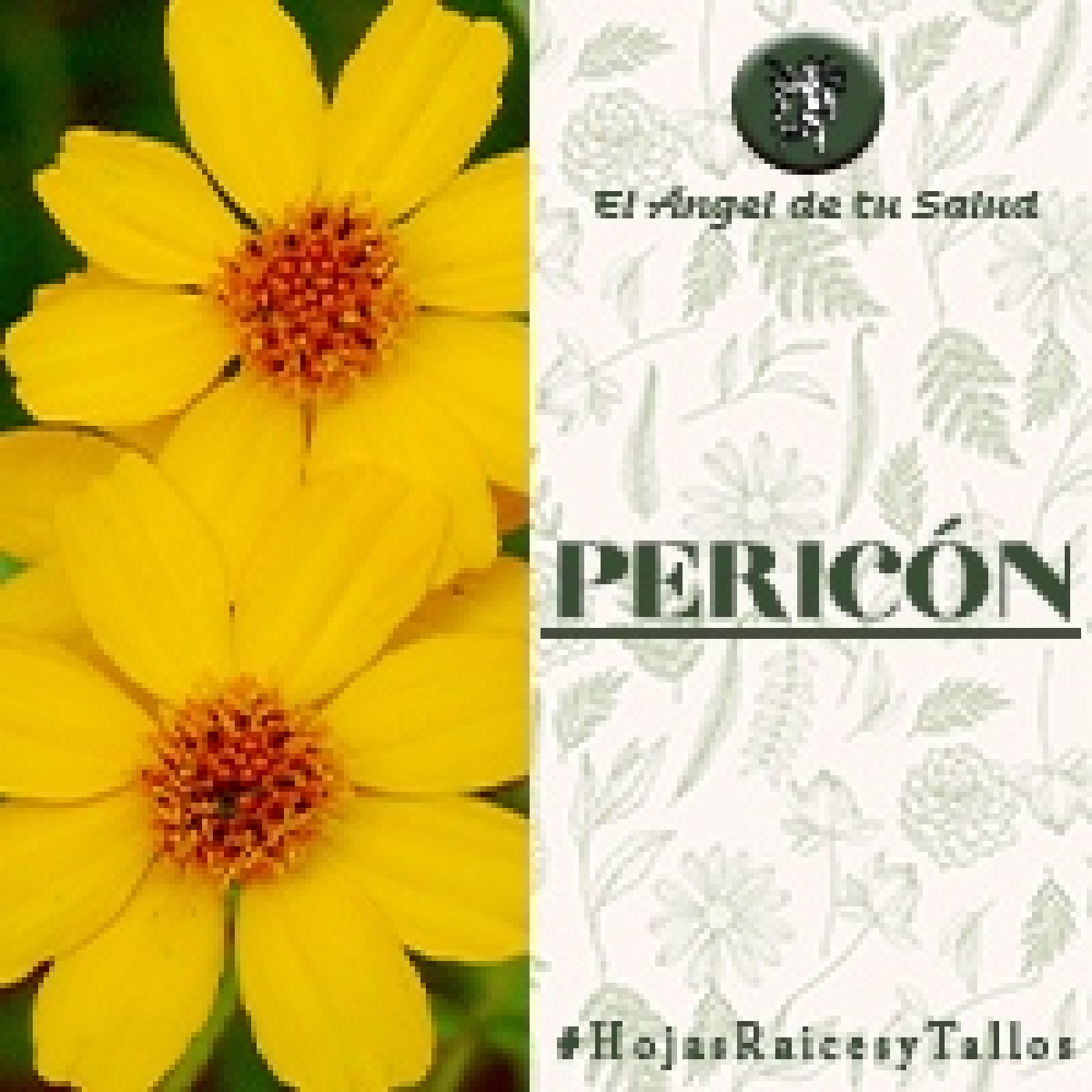 El Ángel de tu Salud - Pericón** episode artwork