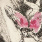 embed image