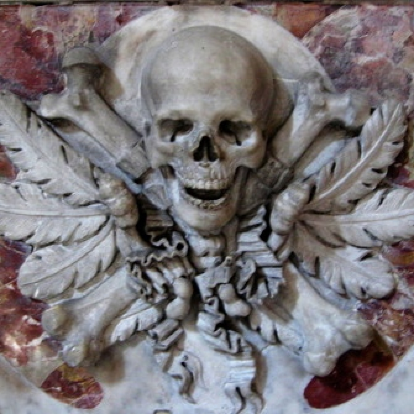 Cuentos del bosque oscuro