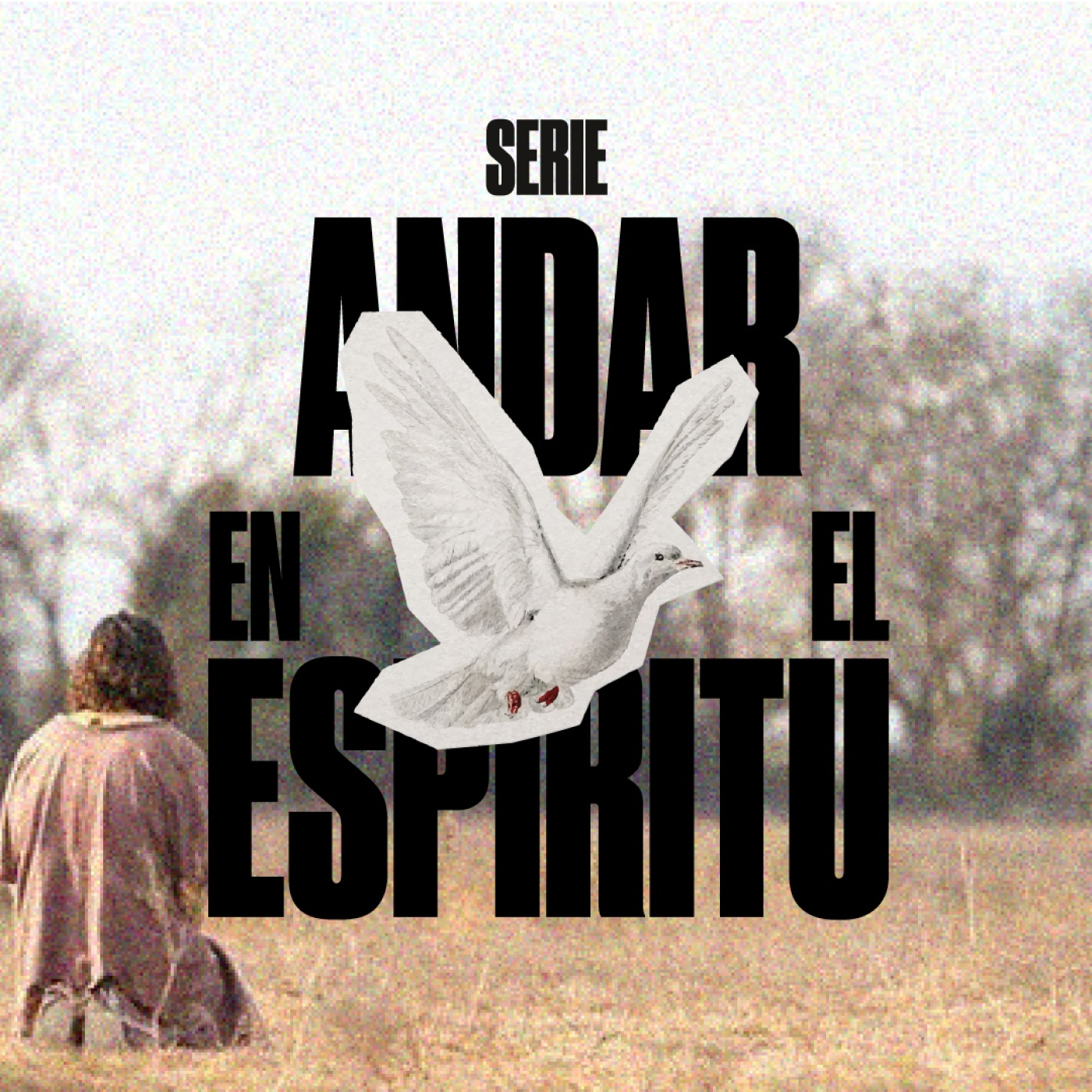 FUEGO EN MI VIDA serie: ANDAR EN EL ESPÍRITU episode artwork
