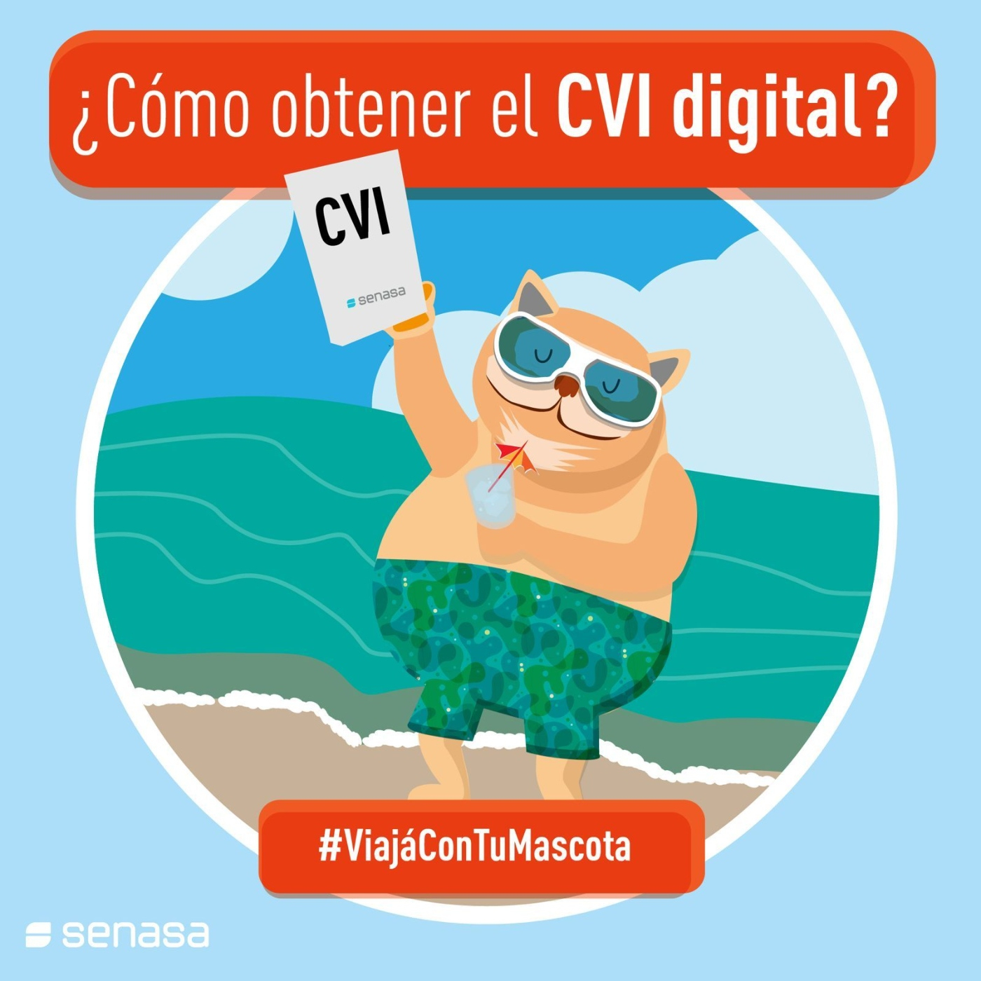 Eco Vida Ambiente