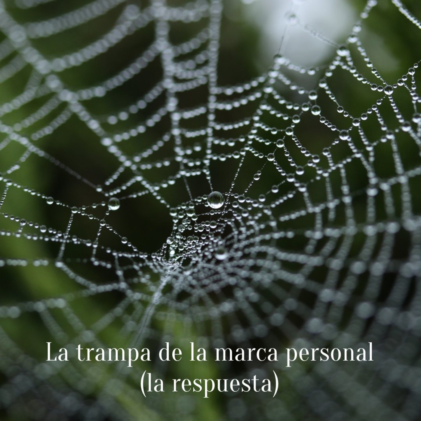 081 La trampa de la marca personal episode artwork