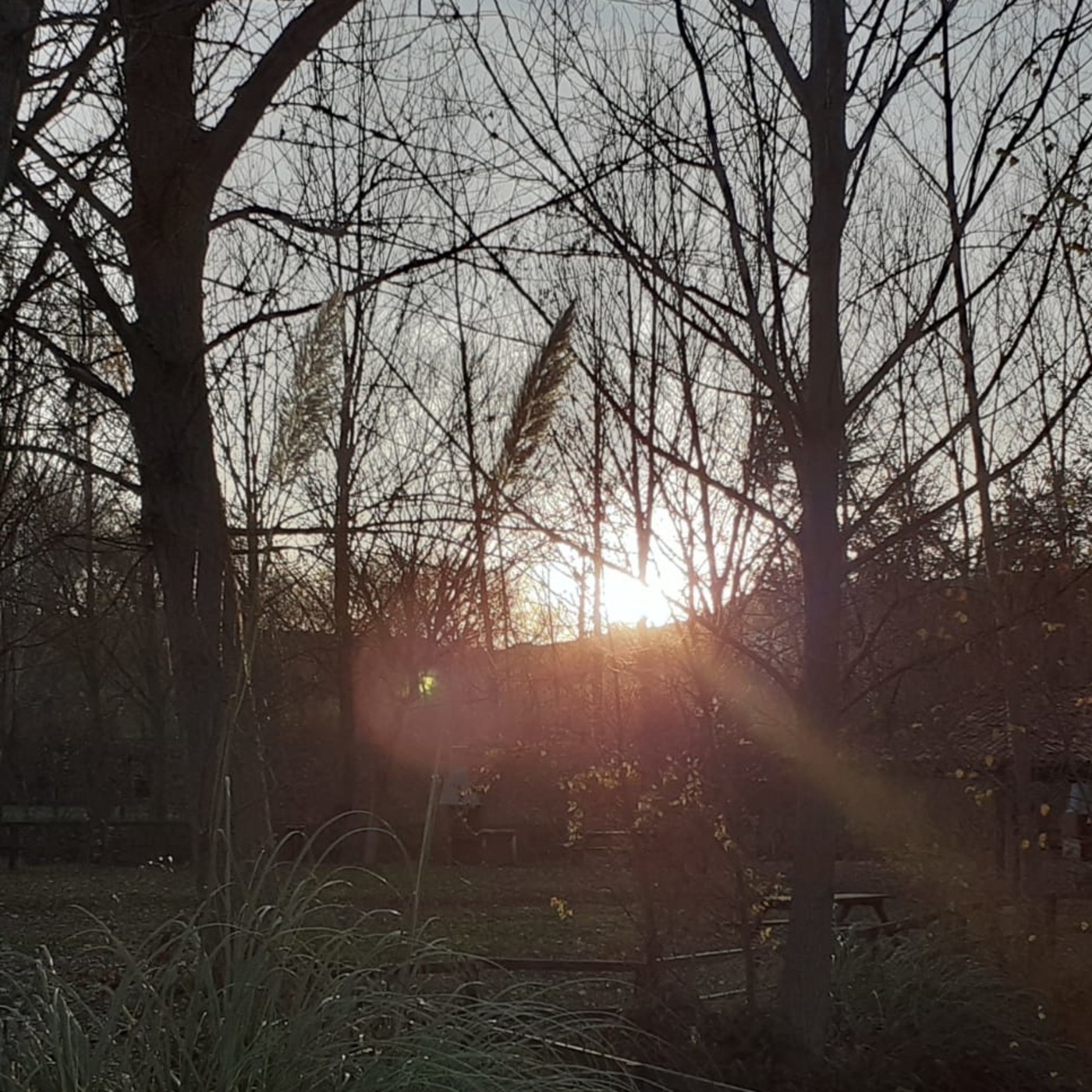 La parroquia de Covadonga