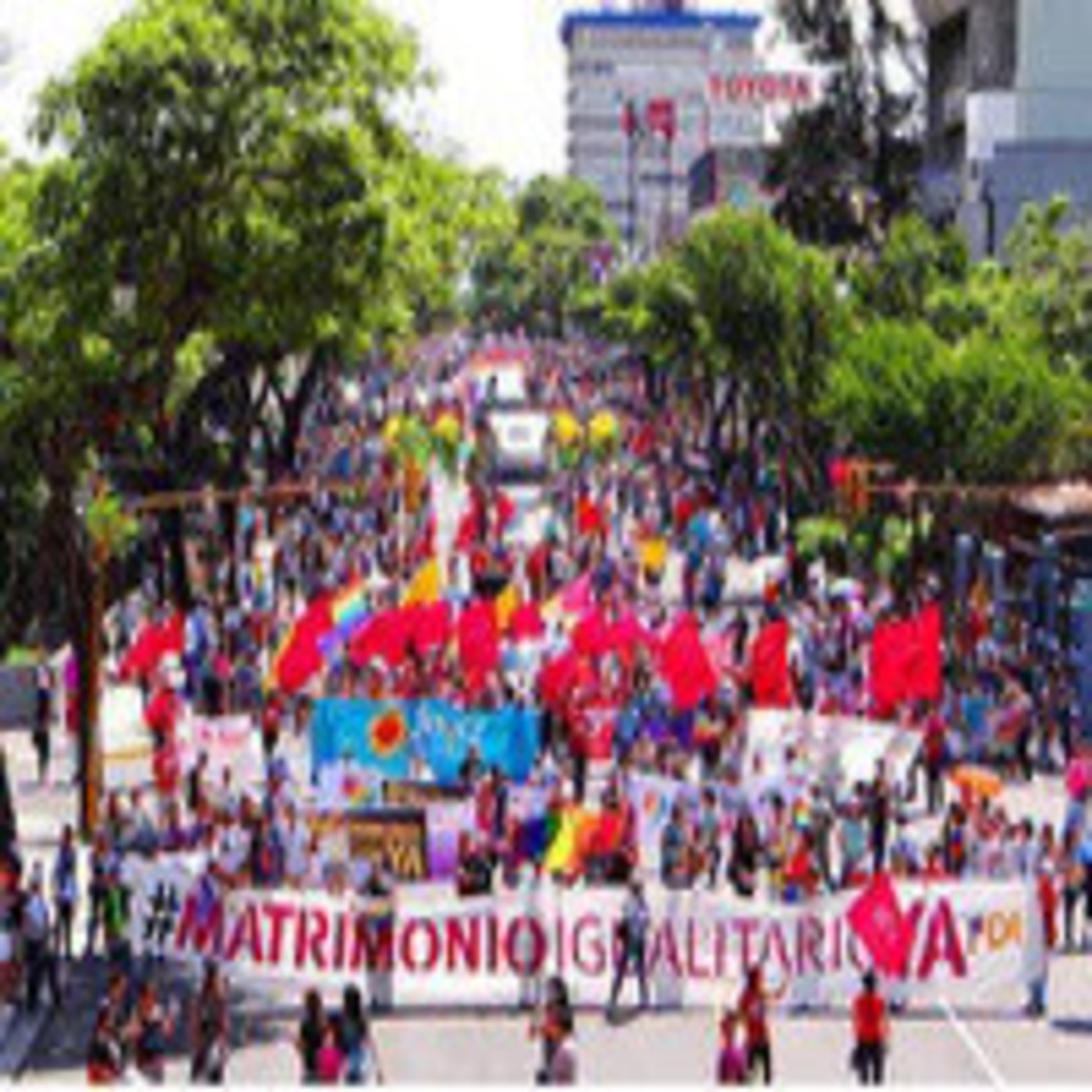 Programas y micros de la Radio del Sur