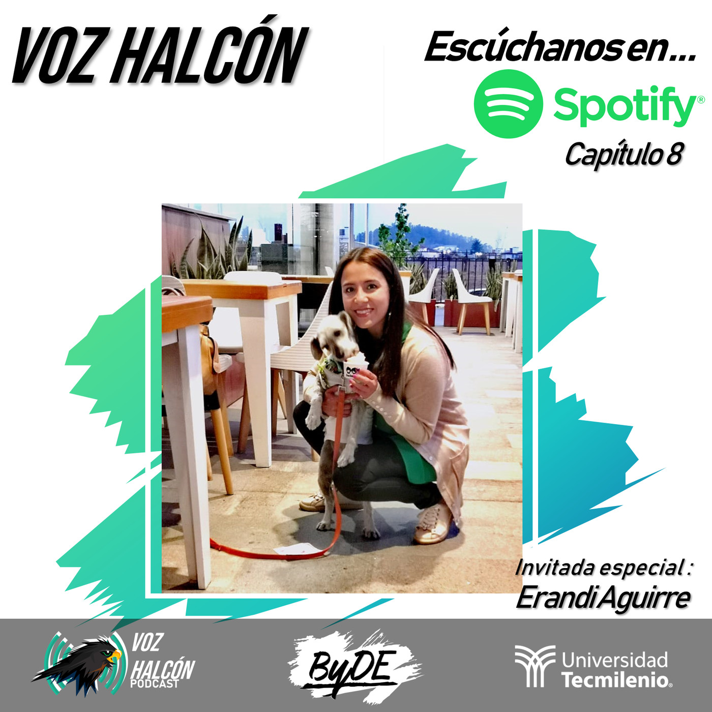 Voz Halcón