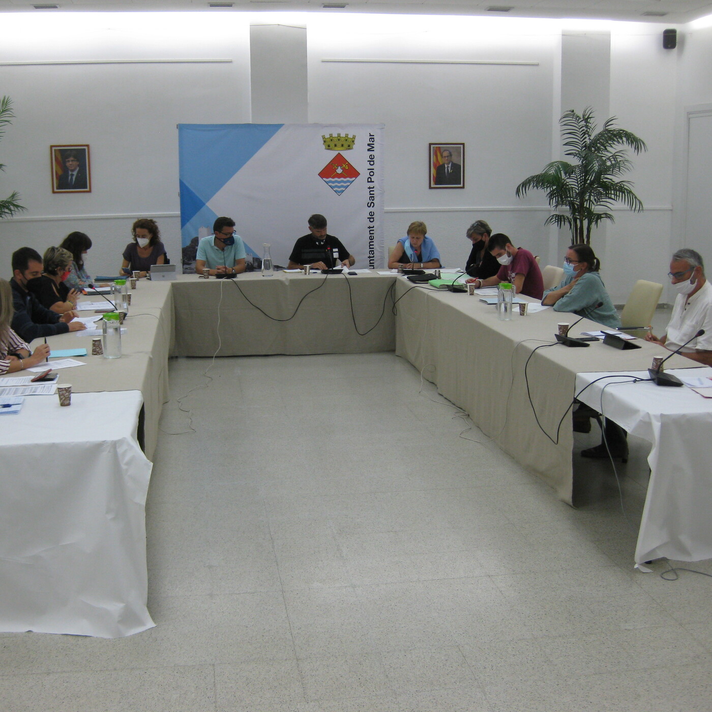 Plens municipals
