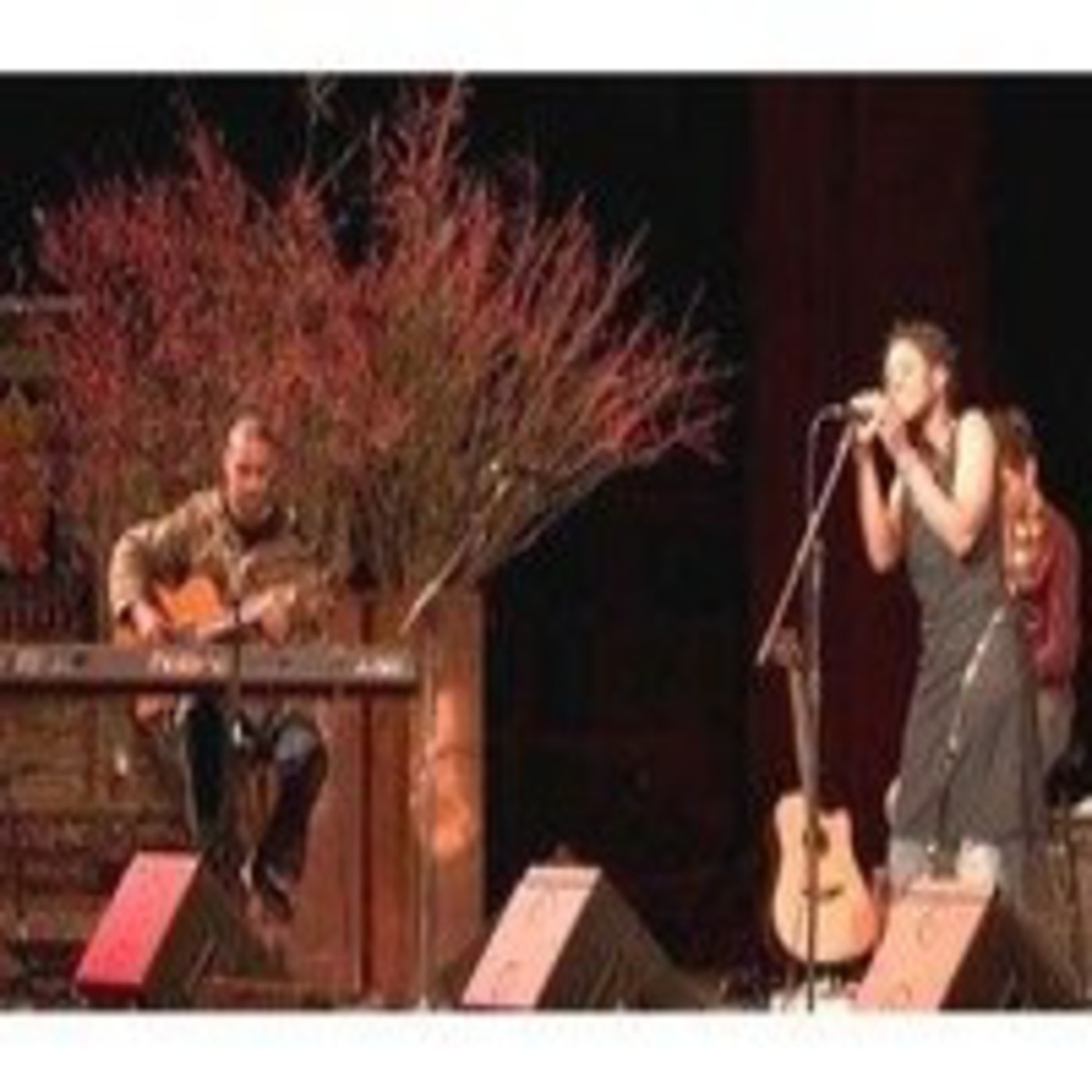 Nitin Sawhney, 2003 episode artwork