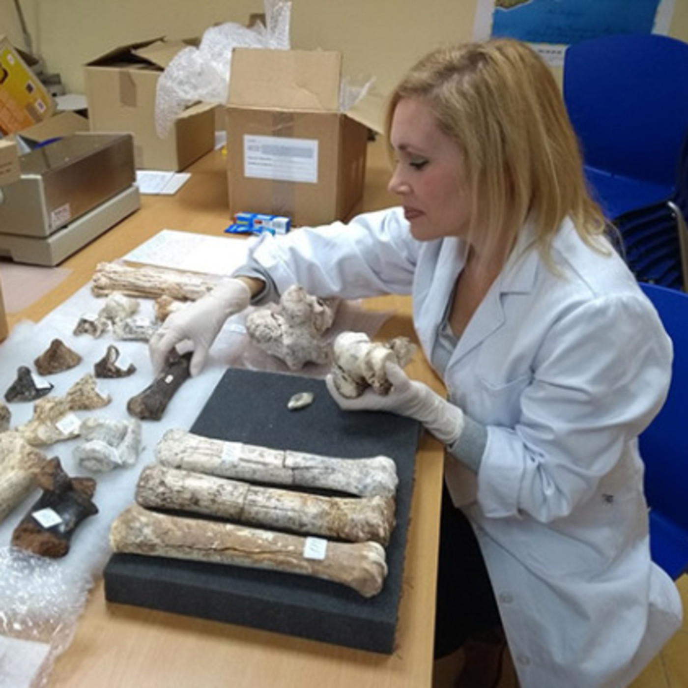 La Fábrica de la Ciencia  (LFDLC)