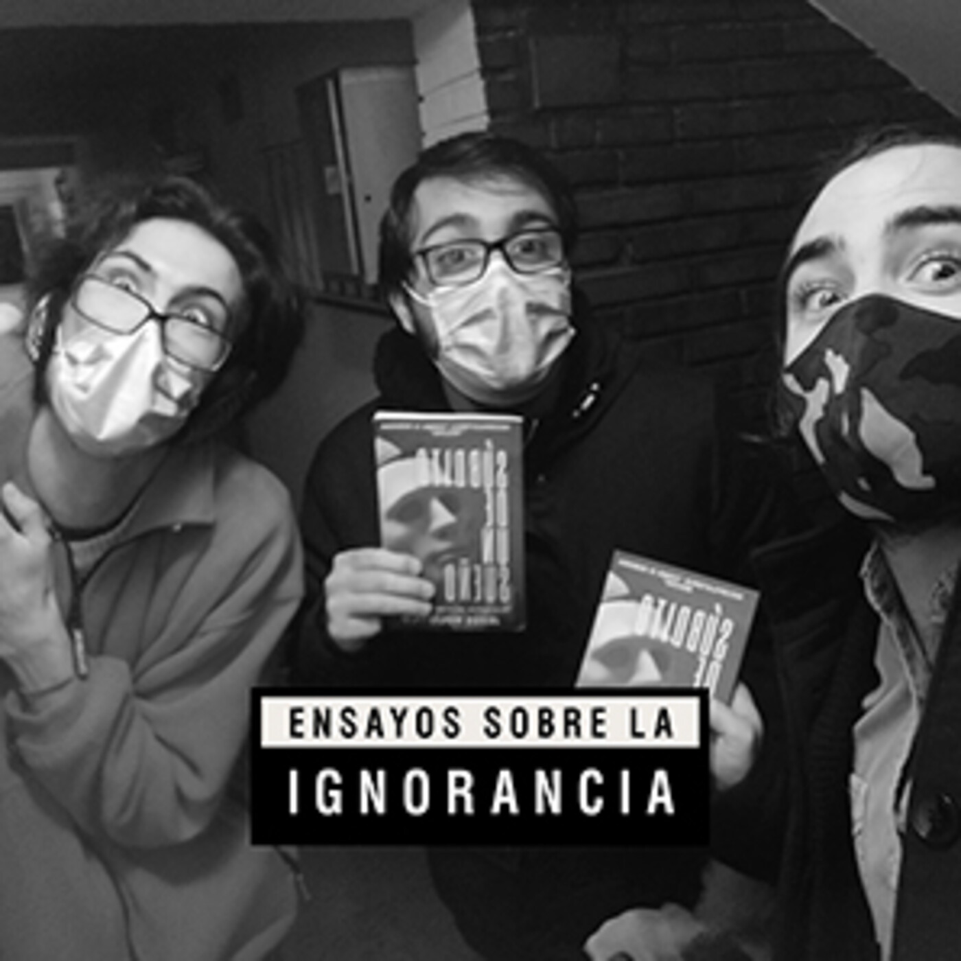 Ensayos sobre la ignorancia