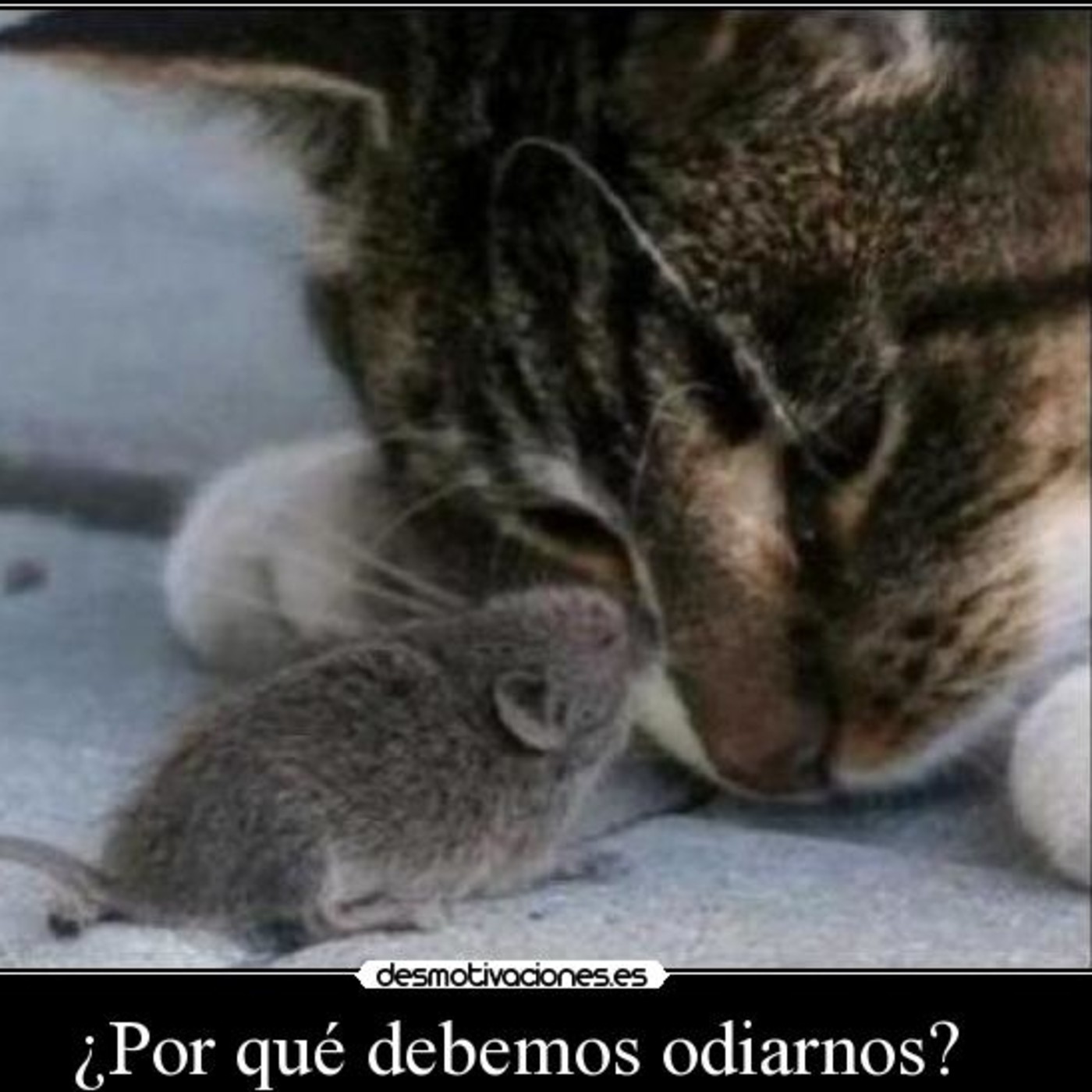 En Tren de Noticias