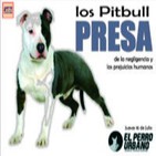 PERROS PRESA de los prejuicios