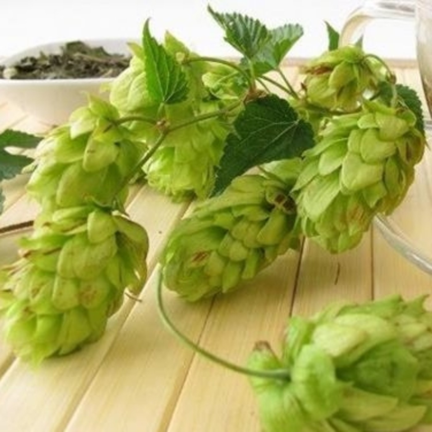 Aire de Cerveza