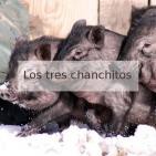 4 Populismo científico, José A. Pérez Ledo y más cosas