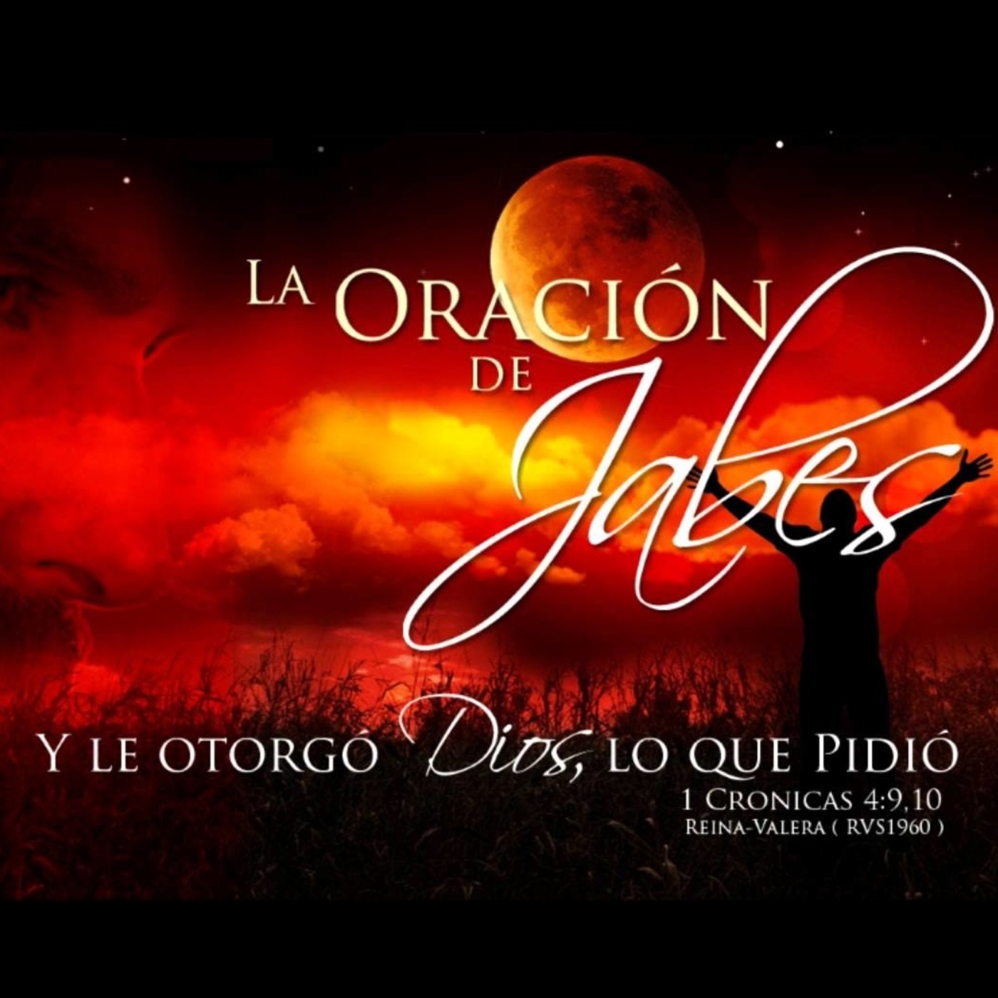 Jose Mansilla