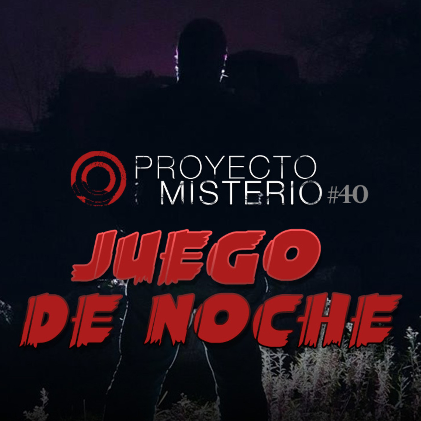 Proyecto Misterio 40: Juego de noche