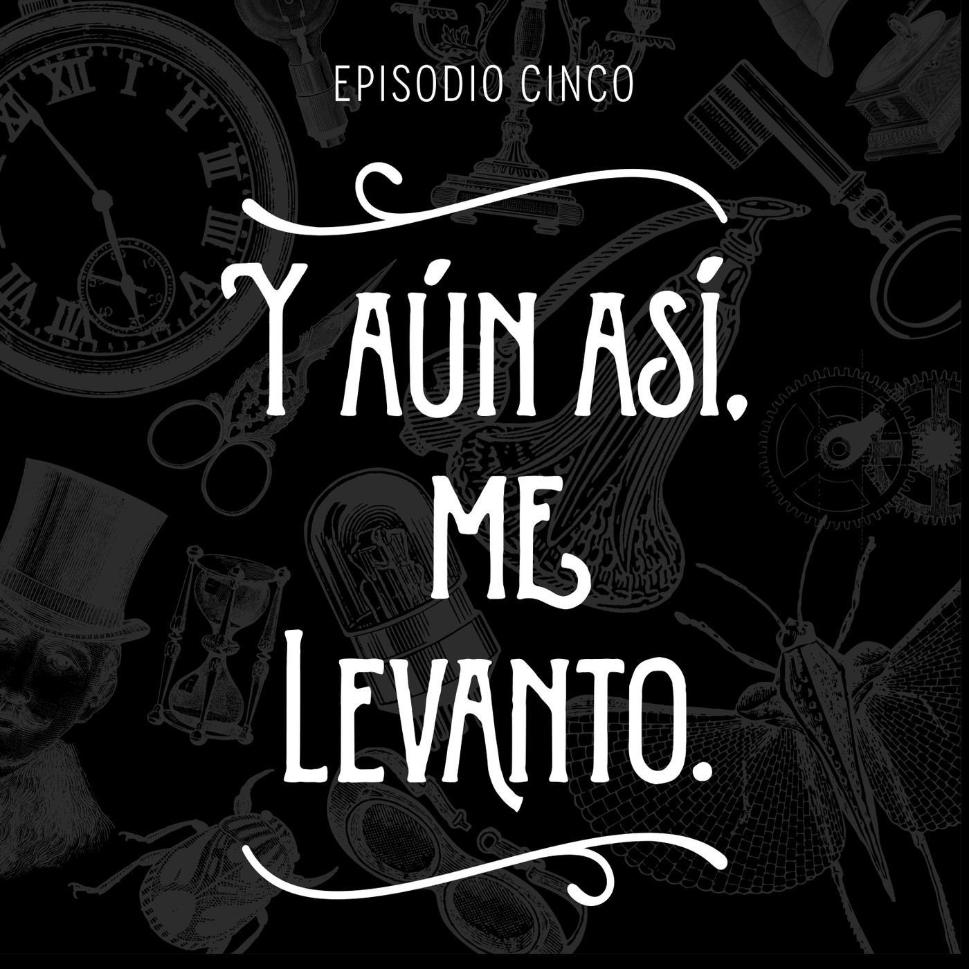 Gabinete de curiosidades