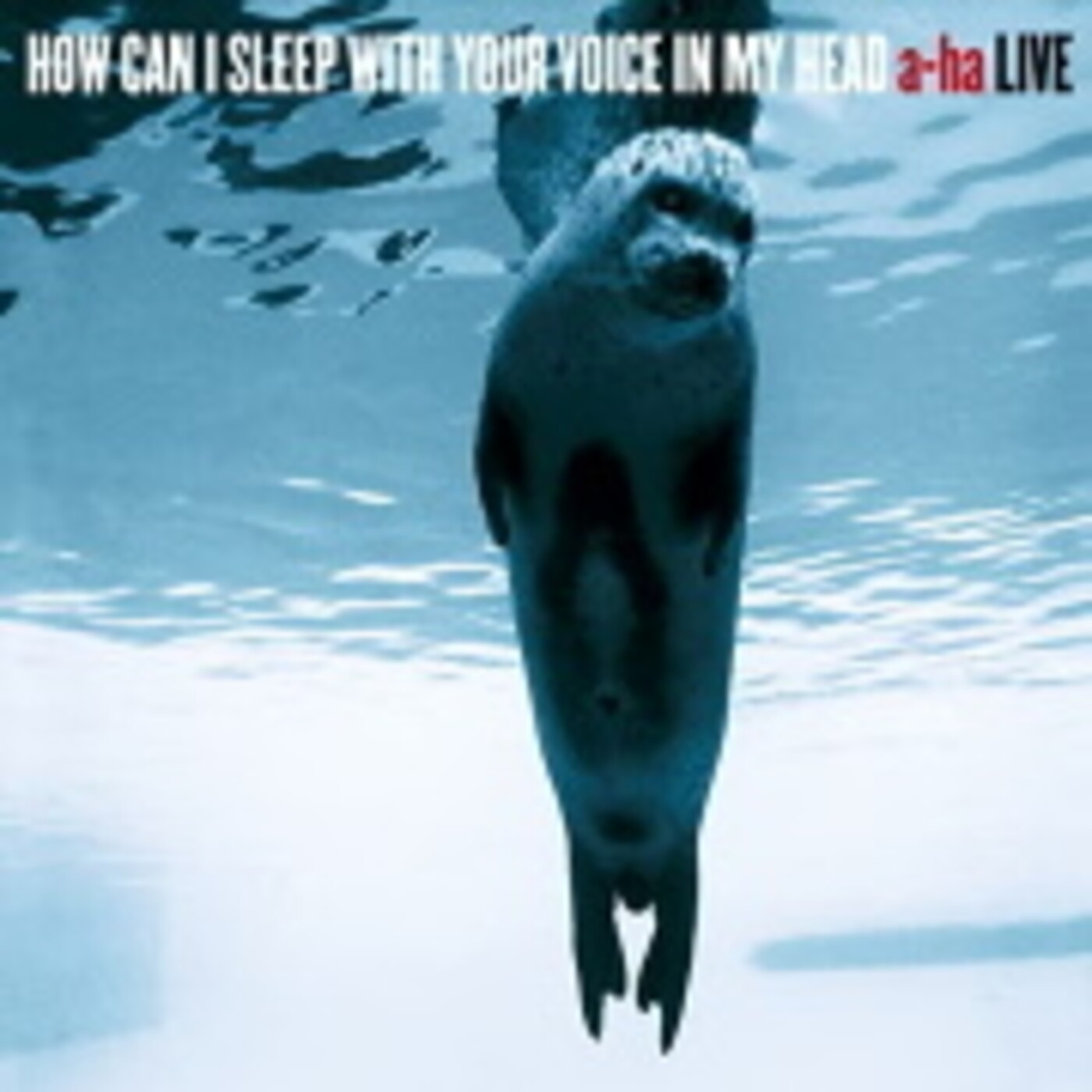A-Ha, How Can I Sleep with Your Voice in My Head, Leipzig 2003 episode artwork