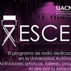 Escenarios 7