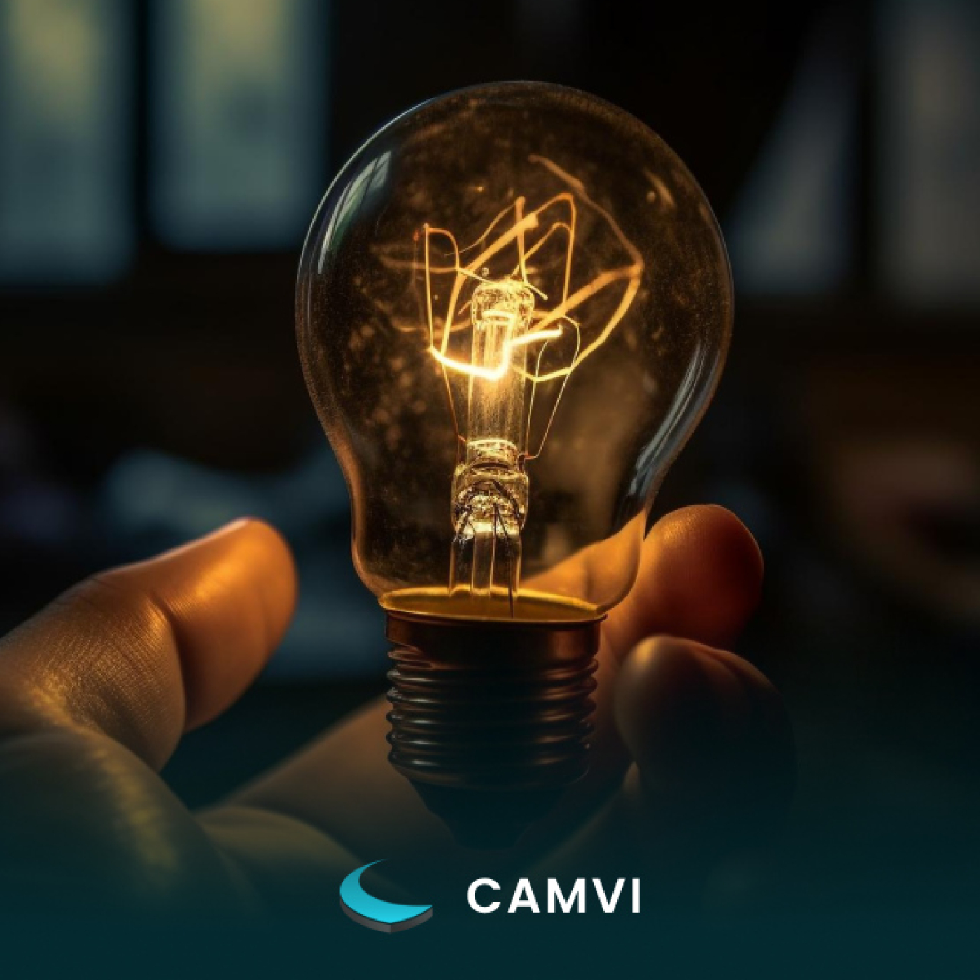 CAMVI