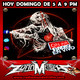 Zoan metalica 15- diciembre -2019
