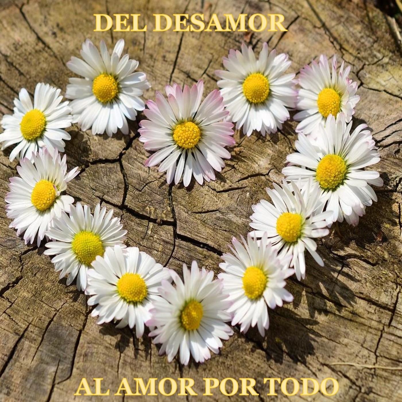 10 Claves para comenzar a amar-te