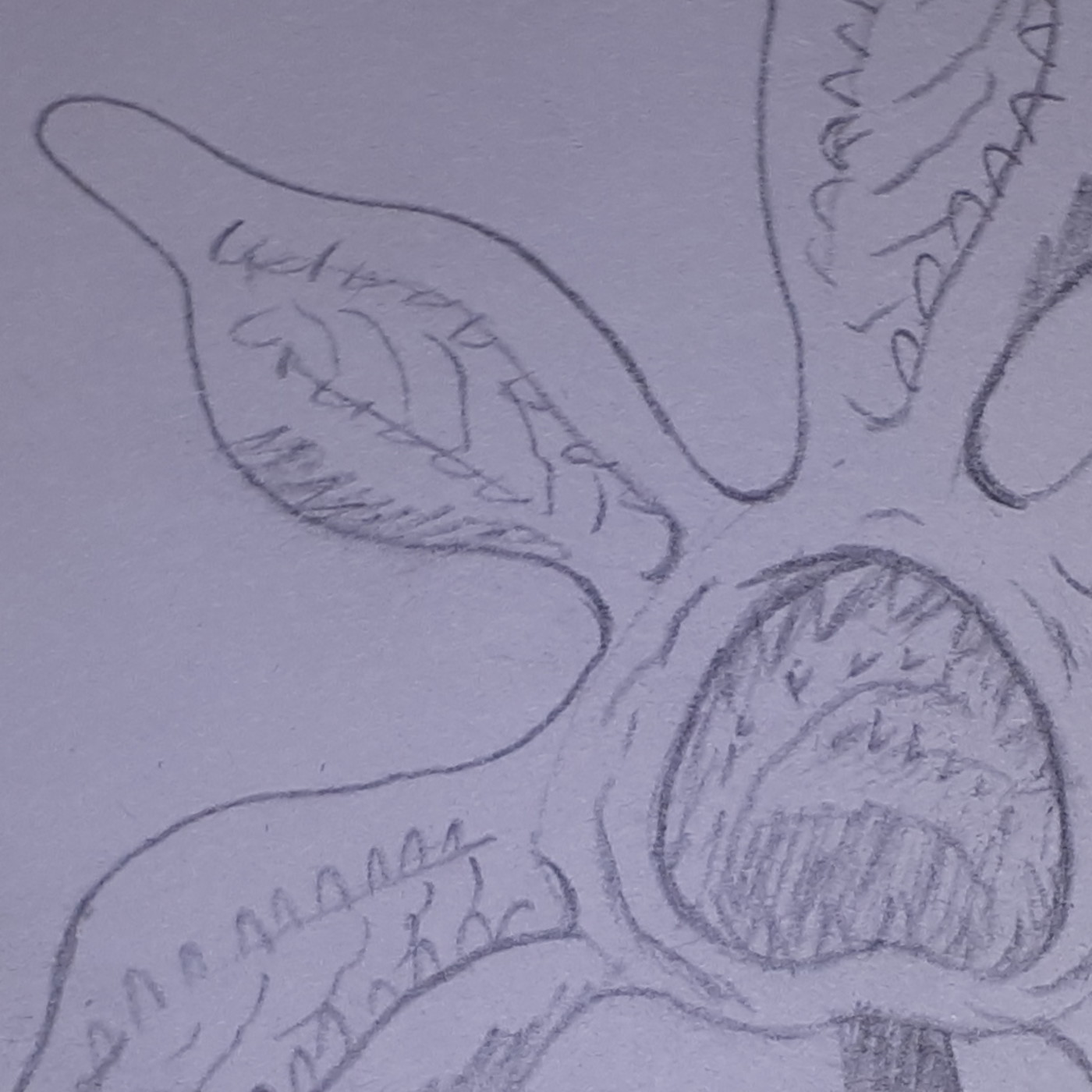 Generación Random