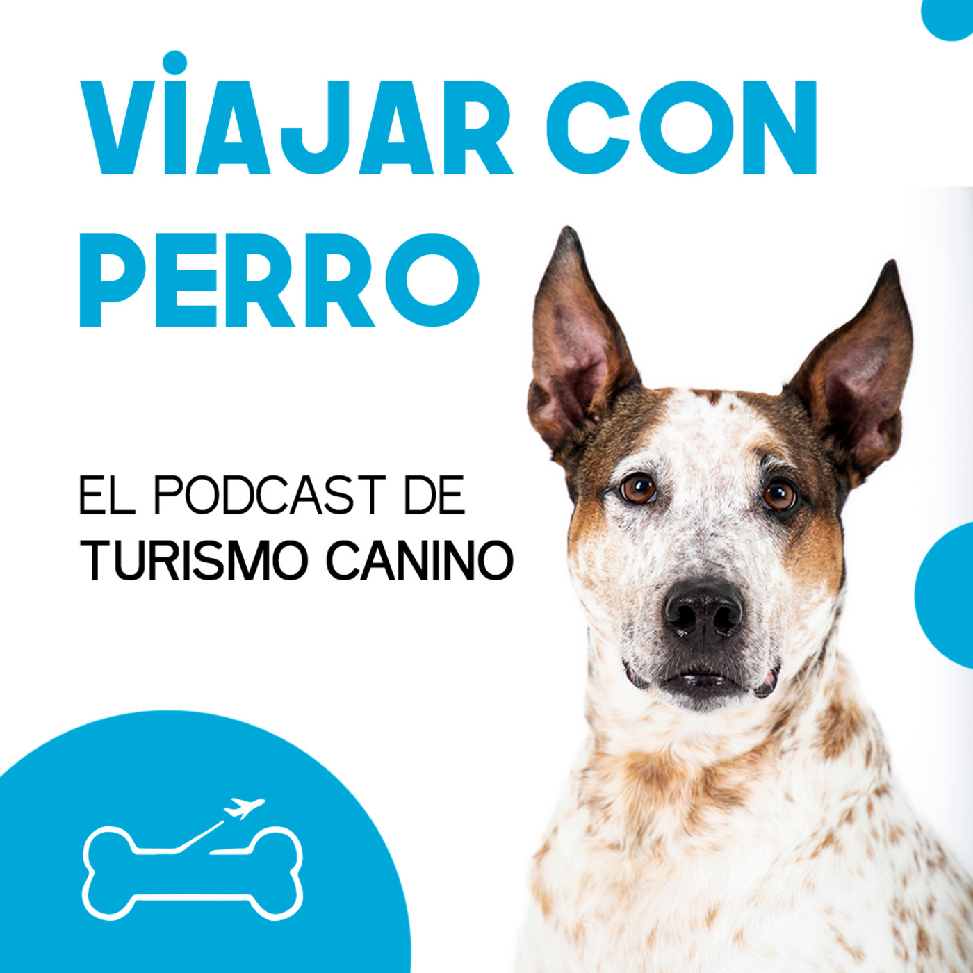 Viajar con perro. El podcast de Turismo Canino
