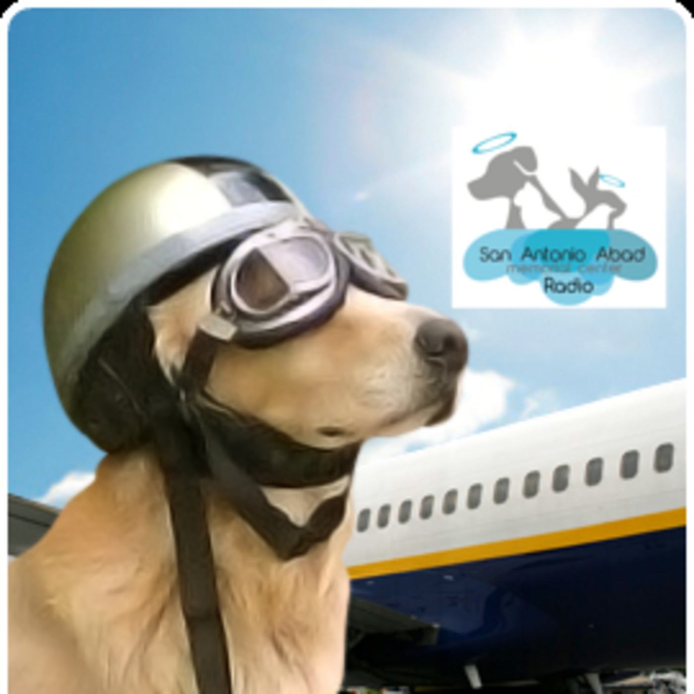 Podcast Mascotero - Mundo animal