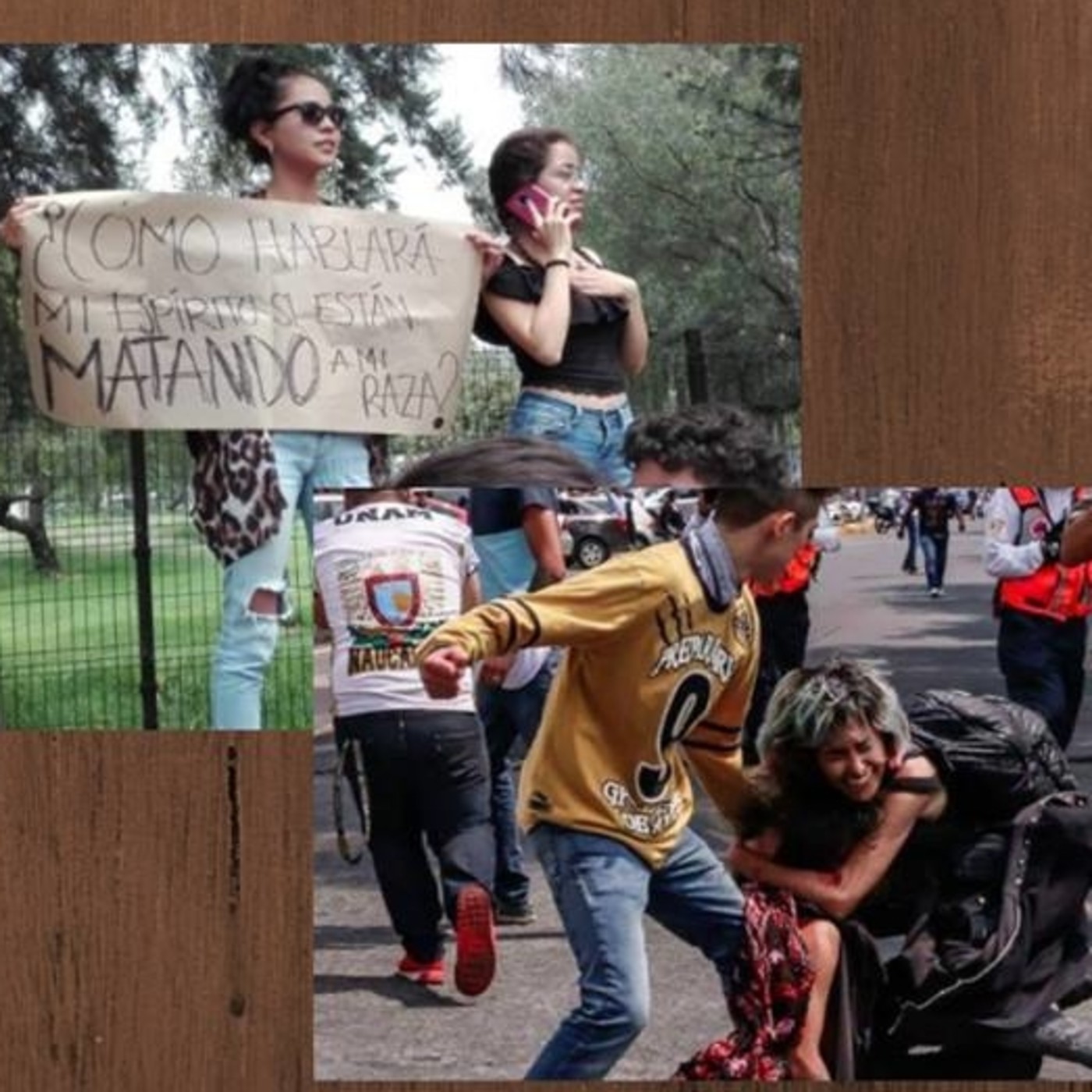 Voces y cantos de la tierra viva