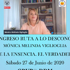 En busca de la esencia. El verdadero milagro por Monica Melinda Viglioglia