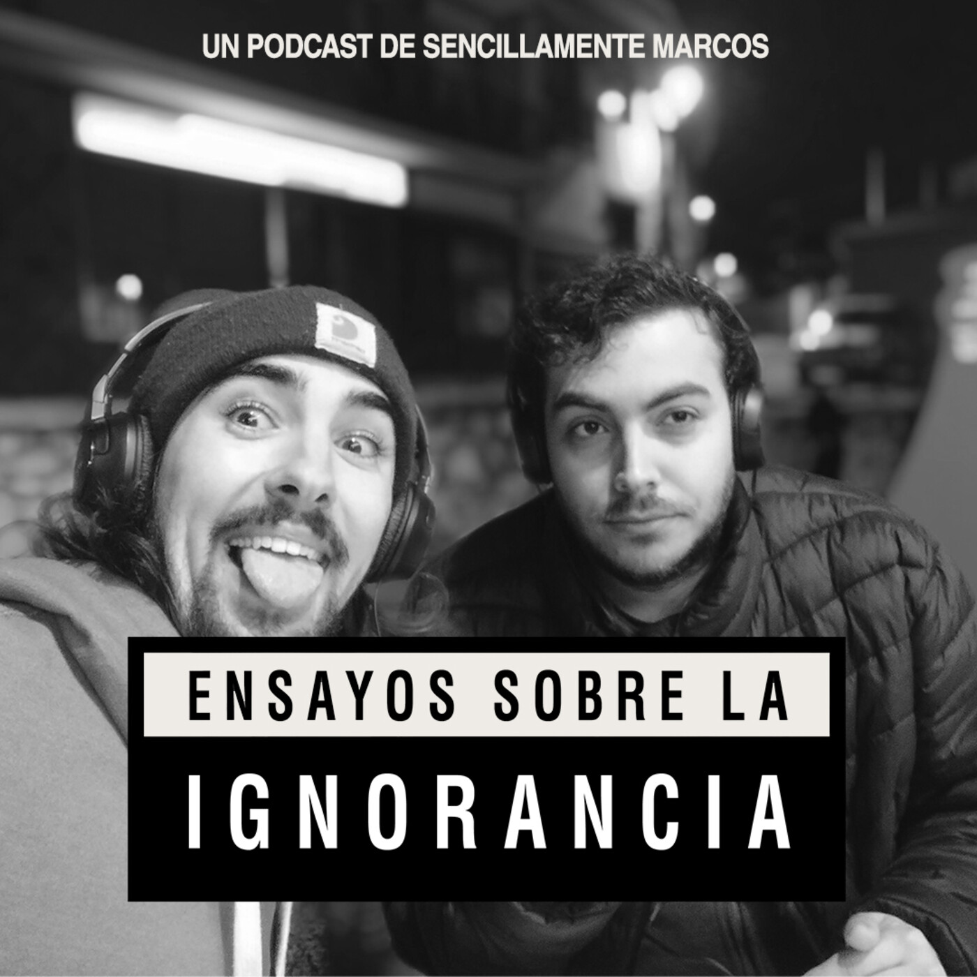 Ensayos sobre la ignorancia