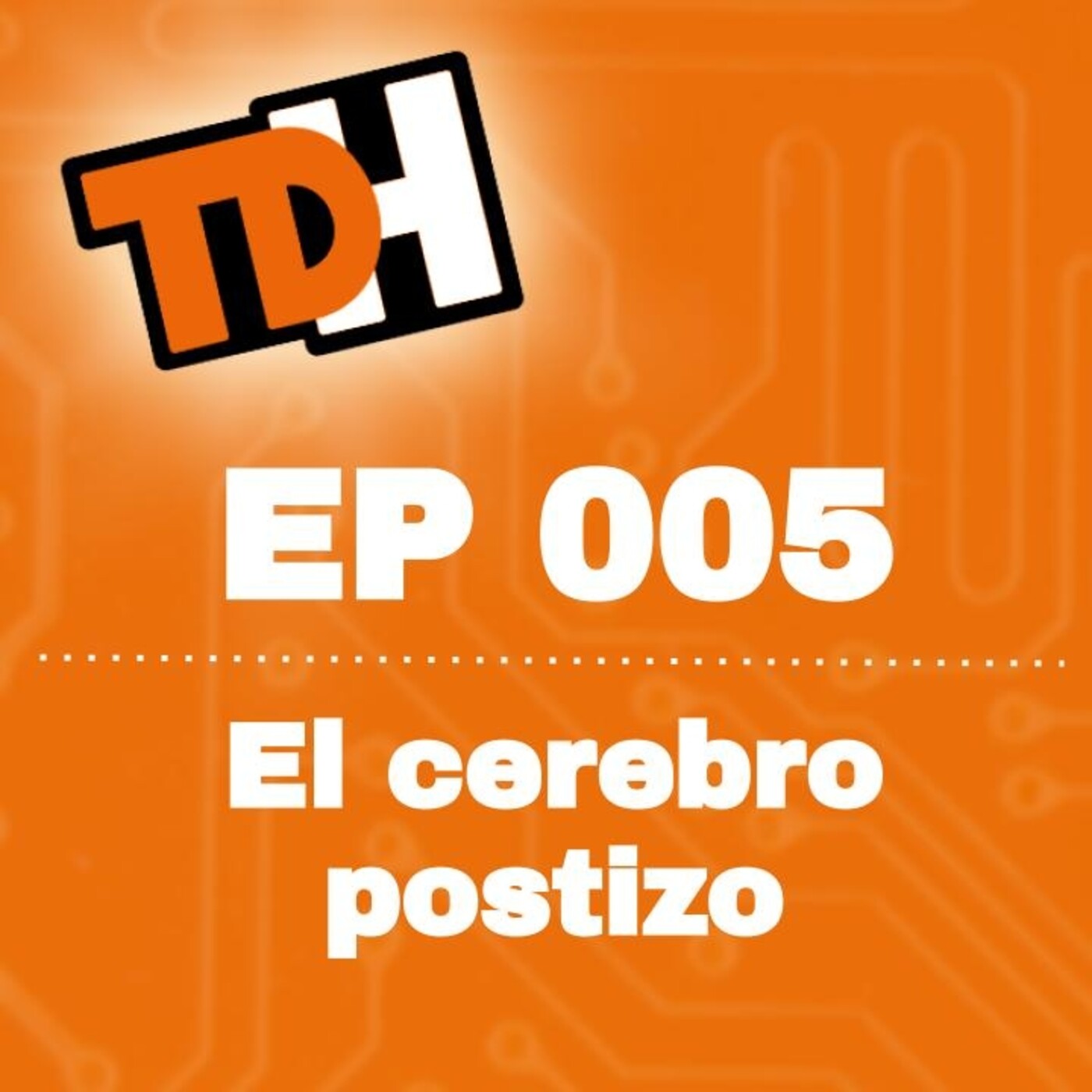 005 El cerebro postizo